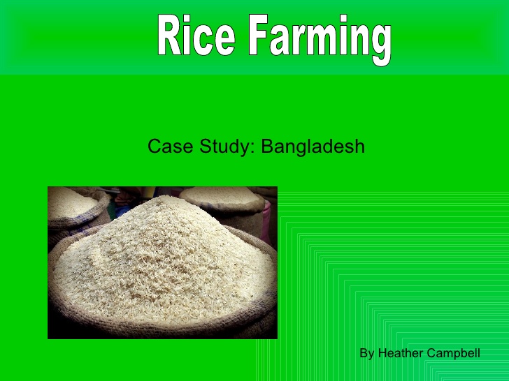 advantage of rice farming
